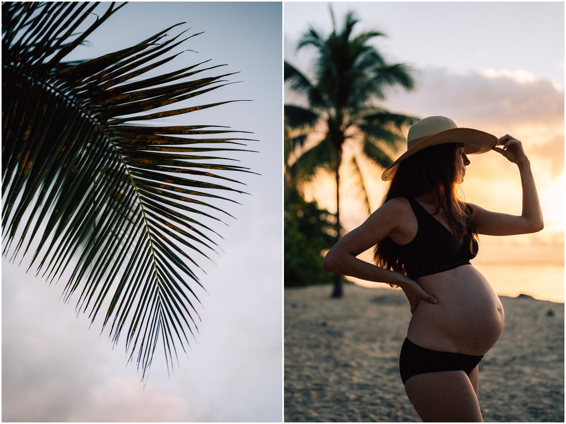 palmier femme enceinte séance photo