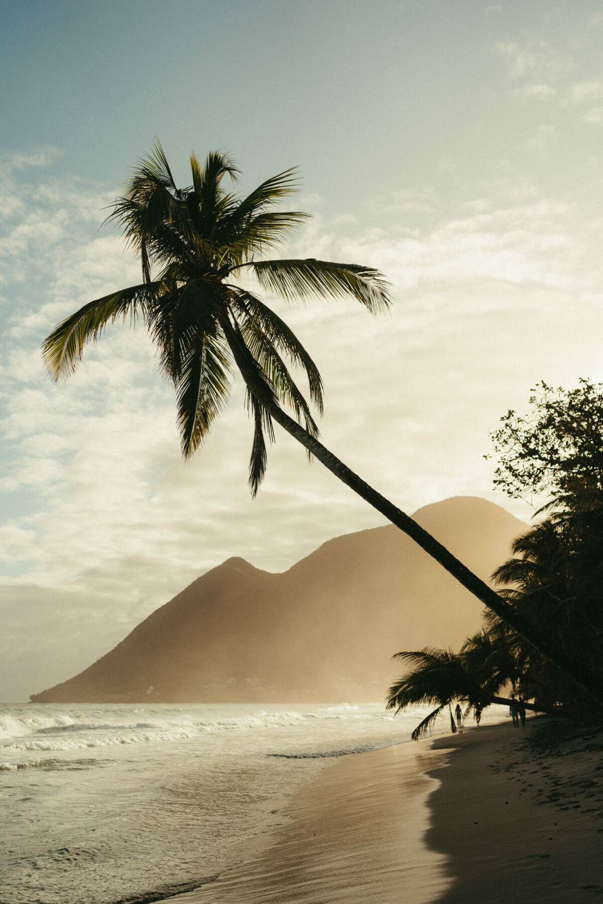 Photographe martinique
