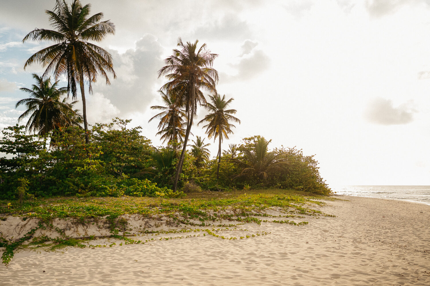 seance photo guadeloupe